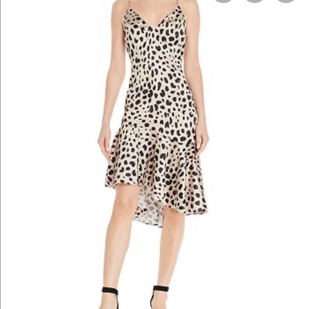Aqua leopard print dress
